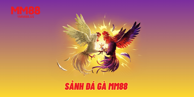 xem-cac-tran-dau-kich-tinh-tai-sanh-da-ga-mm88