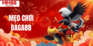 Mẹo Chơi Daga88 Từ Các Đại Cao Thủ Lâu Năm Tại MM88